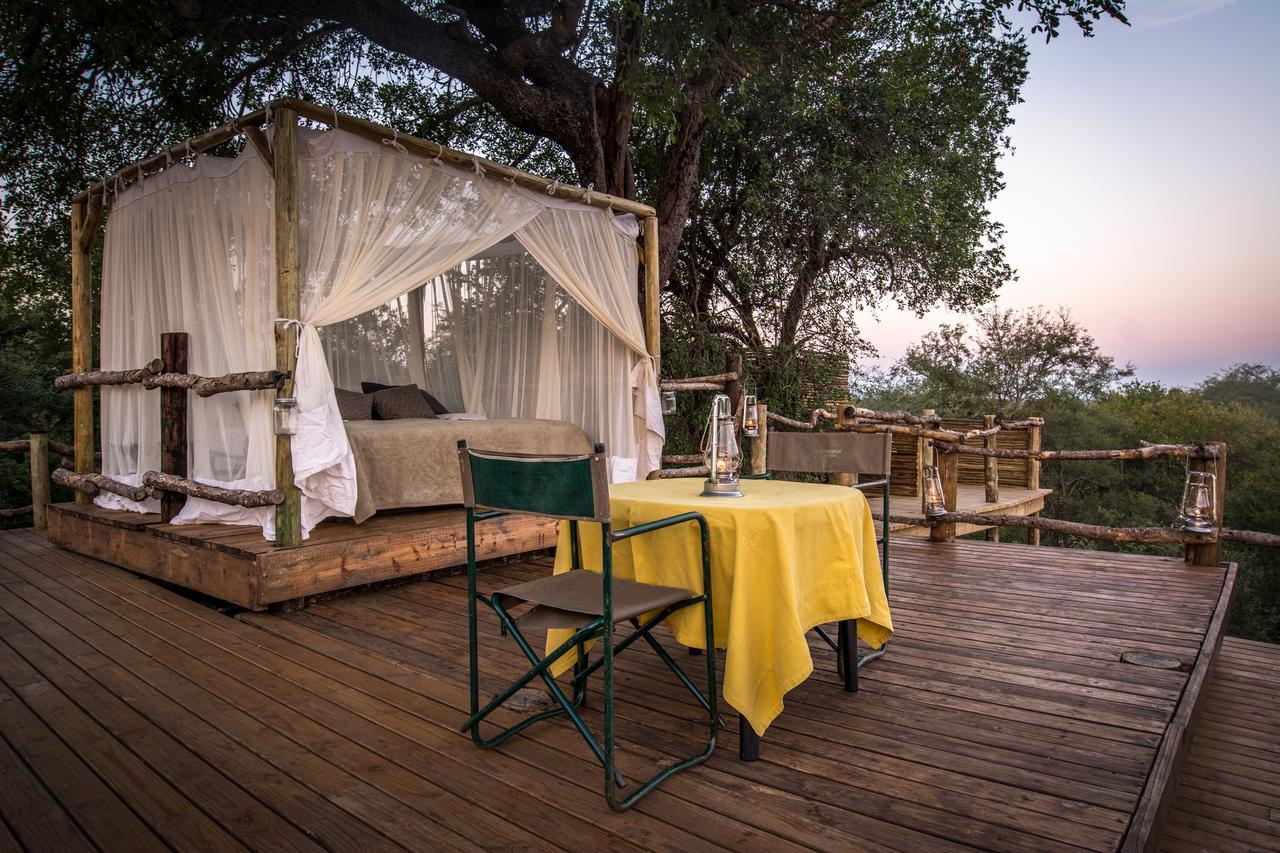 Garonga Safari Villa Makalali Game Reserve Dış mekan fotoğraf